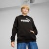 Picture of Kids Essentials No. 1 Logo Fleece Hoodie