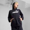 Picture of Kids Essentials No. 1 Logo Fleece Hoodie