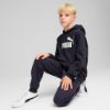 Picture of Kids Essentials No. 1 Logo Fleece Hoodie