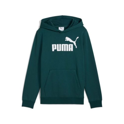 Picture of Kids Essentials No. 1 Logo Fleece Hoodie