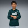Picture of Kids Essentials No. 1 Logo Fleece Hoodie