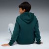Picture of Kids Essentials No. 1 Logo Fleece Hoodie