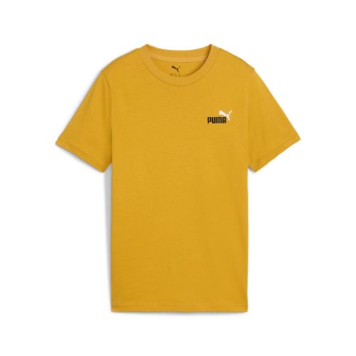 Picture of Boys Essentials 2 Colour No. 1 Logo T-Shirt