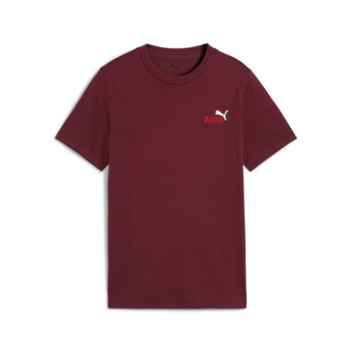 Picture of Boys Essentials 2 Colour No. 1 Logo T-Shirt