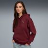 Picture of Essentials Elevated Comfort Hoodie