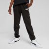 Picture of Kids Essentials No. 1 Logo Fleece Sweatpants