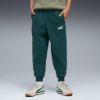 Picture of Kids Essentials No. 1 Logo Fleece Sweatpants
