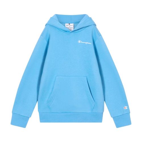 Picture of Boys Fleece Hoodie with Small Embroidered Logo Icons