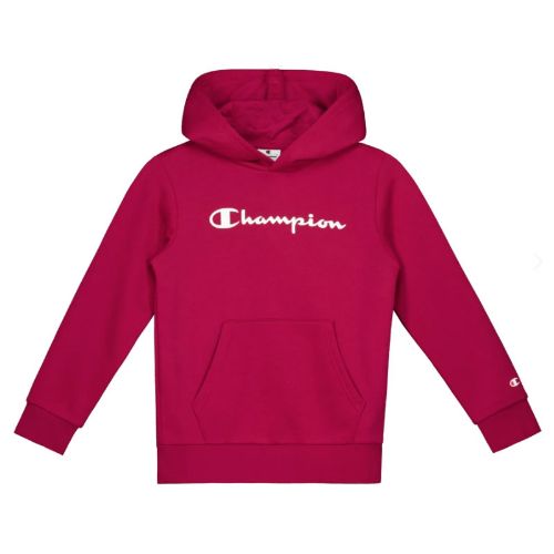 Picture of Boys Fleece Hoodie Sweatshirt Script Logo