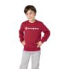 Picture of Boys Fleece Crewneck Sweatshirt Script Logo