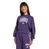 Picture of Kids Seasonals Essentials Collegiate Typography Sweatshirt