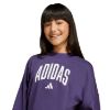 Picture of Kids Seasonals Essentials Collegiate Typography Sweatshirt