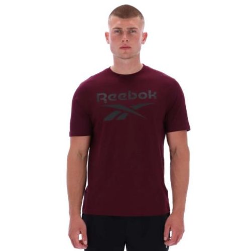 Picture of Chad Big Logo Crew Neck