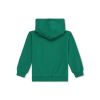Picture of Boys Prarolo Regular Fit Graphic Hoodie