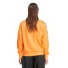 Picture of Adicolor Classic Firebird Loose Fit Track Top