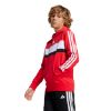 Picture of Adidas Seasonal Essentials Tiberio 3-Stripes Hoodie