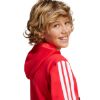 Picture of Adidas Seasonal Essentials Tiberio 3-Stripes Hoodie