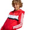 Picture of Adidas Seasonal Essentials Tiberio 3-Stripes Hoodie