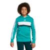 Picture of Adidas Seasonal Essentials Tiberio 3-Stripes Hoodie