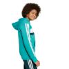 Picture of Adidas Seasonal Essentials Tiberio 3-Stripes Hoodie