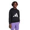 Picture of Adidas Essentials Hoodie Kids