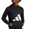 Picture of Adidas Essentials Hoodie Kids
