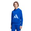 Picture of Adidas Essentials Hoodie Child
