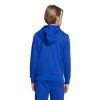 Picture of Adidas Essentials Hoodie Child