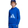Picture of Adidas Essentials Hoodie Child