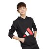 Picture of Adidas Essentials Hoodie Kids