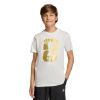 Picture of Kids FIFA World Cup 2026 Official Emblem T-Shirt