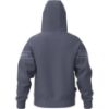 Picture of Athletics Hoodie