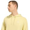 Picture of Essentials Loose Fit Fleece Hoodie