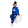 Picture of Essentials Joggers Set Kids
