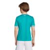 Picture of Liverpool FC 25/26 Third Jersey