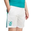 Picture of Liverpool FC 25/26 Third Shorts