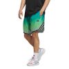 Picture of Adidas Crazy Lite AOP Short