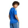 Picture of Italy 26 Home Kids Jersey