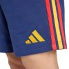 Picture of Spain DNA Shorts