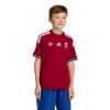 Picture of Hungary 26 Home Kids Jersey