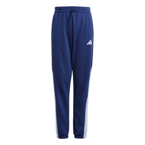 Picture of Seasonal Essentials Colorblock Pants Kids