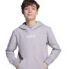 Picture of Essentials Child Hoodie