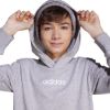 Picture of Essentials Child Hoodie