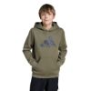 Picture of Camo Graphic Hoodie Kids
