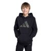 Picture of Camo Graphic Hoodie Kids