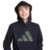 Picture of Kids Camo Graphic Hoodie