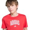 Picture of Collegiate Graphic Tee Kids