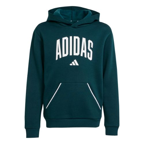 Picture of Boy's Fall Collegiate Hoodie