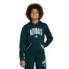 Picture of Boy's Fall Collegiate Hoodie