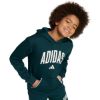 Picture of Boy's Fall Collegiate Hoodie